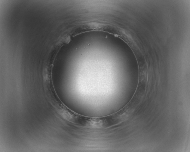 X0000073840317200608101236