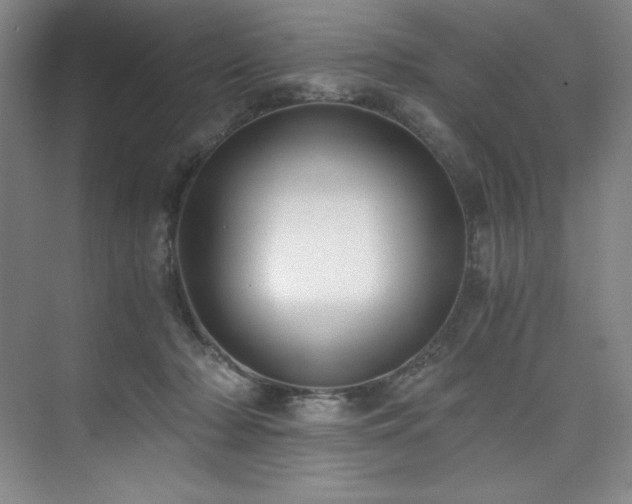 X0000073840318200608101236