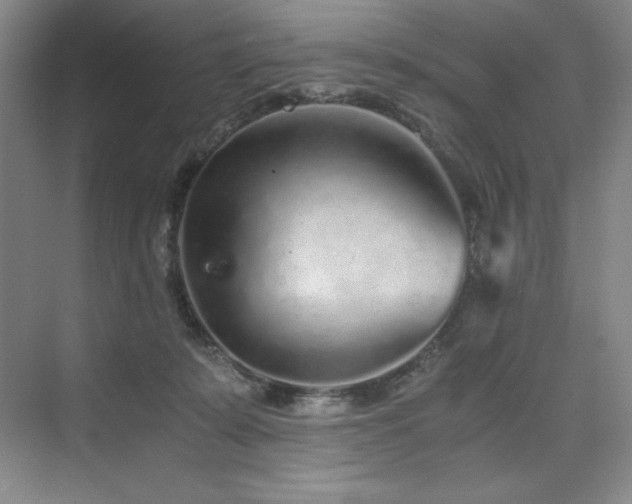 X0000073840319200608101236