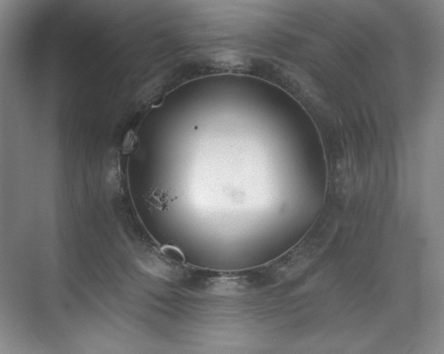 X0000073840320200608101236