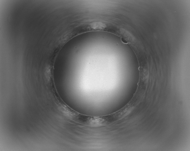 X0000073840321200608101236