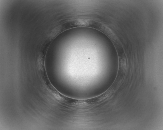 X0000073840322200608101236