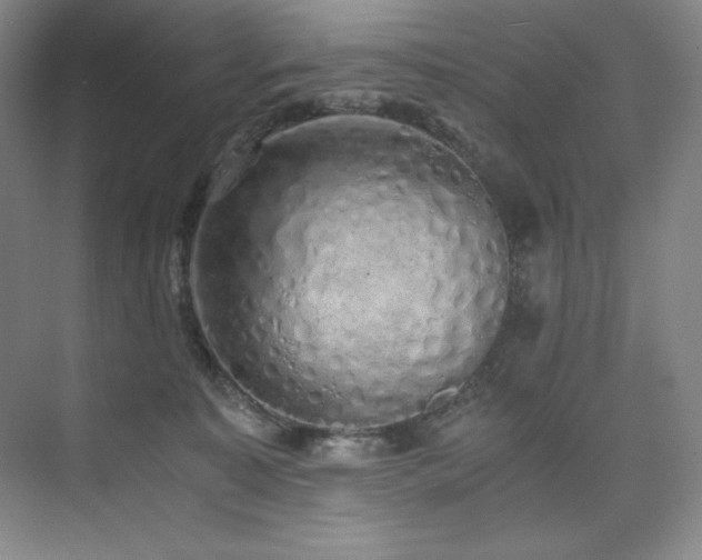 X0000073840323200608101236