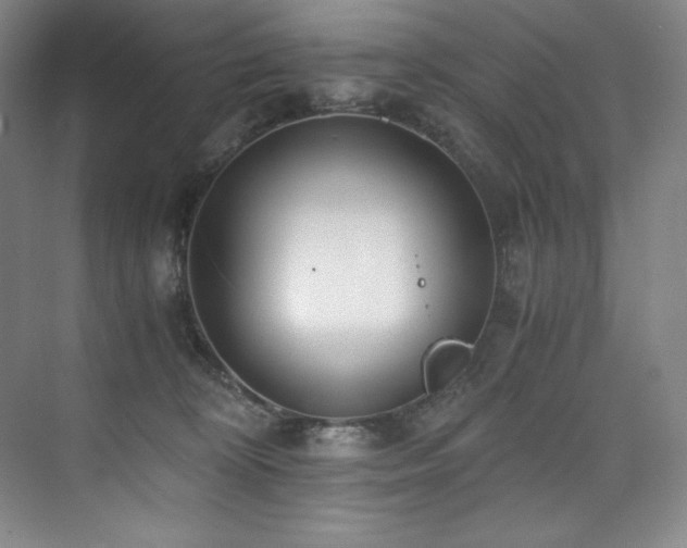 X0000073840324200608101236