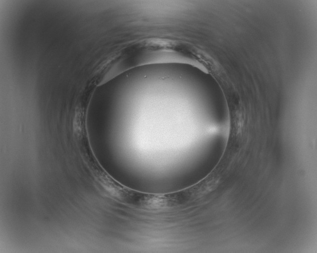 X0000073840325200608101236