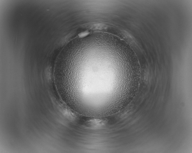 X0000073840326200608101236