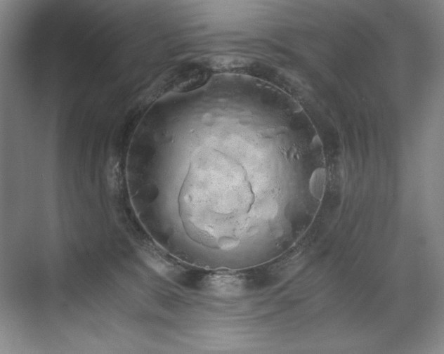 X0000073840327200608101236