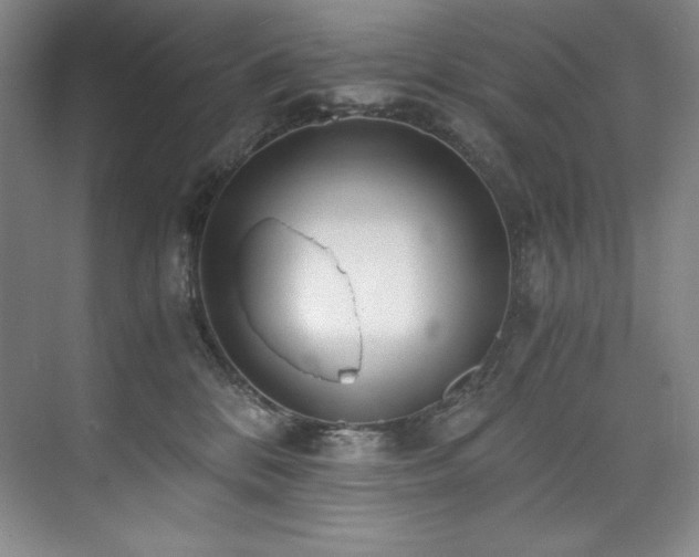 X0000073840328200608101236