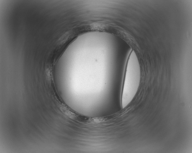 X0000073840329200608101236