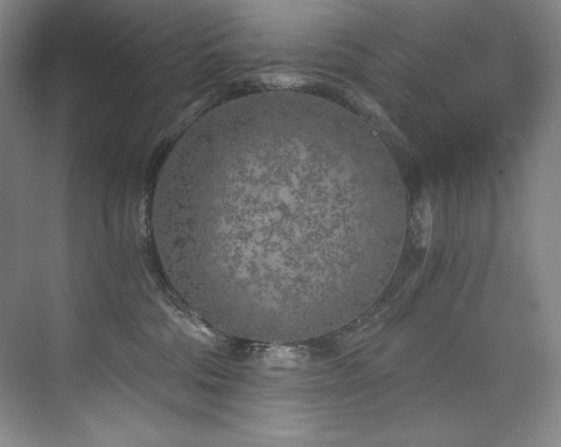 X0000073840330200608101236