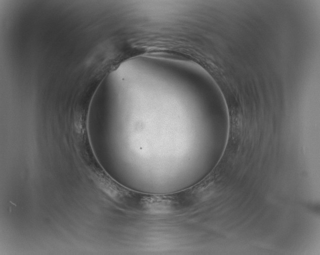 X0000073840331200608101236