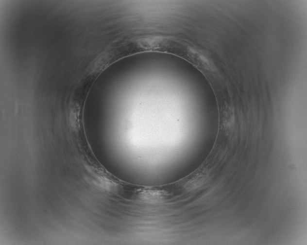 X0000073840332200608101236