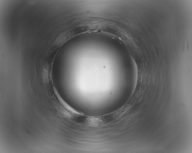 X0000073840333200608101236