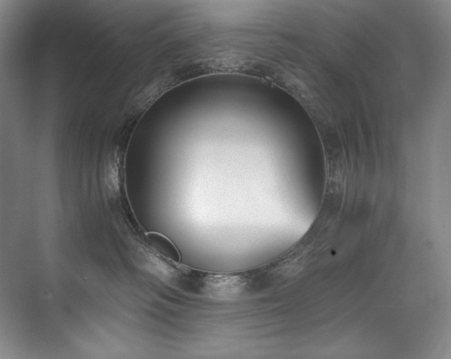 X0000073840334200608101236