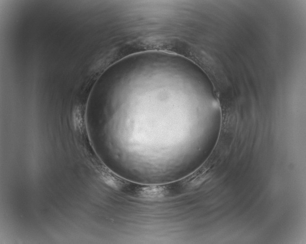 X0000073840335200608101236