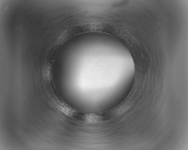 X0000073840336200608101236