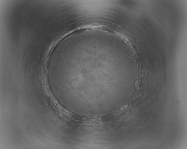 X0000073840337200608101235