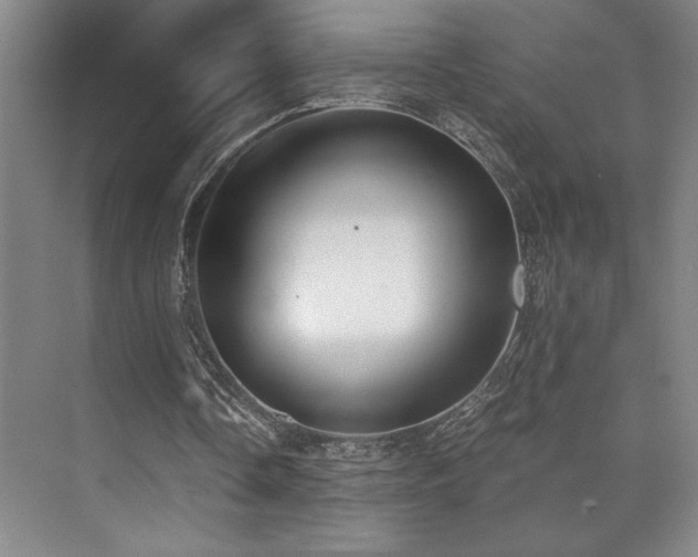 X0000073840338200608101235