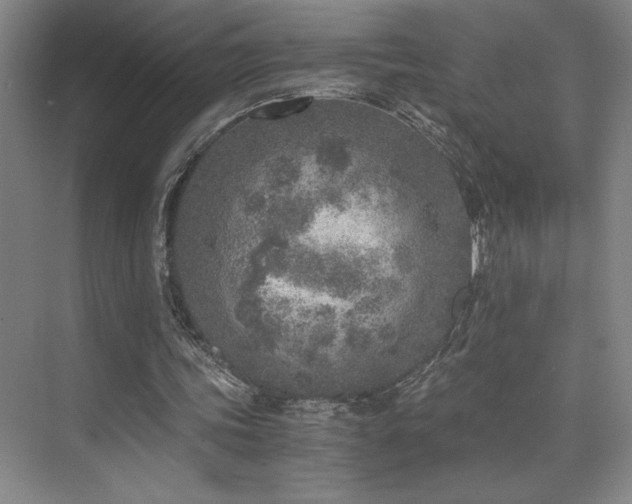 X0000073840339200608101235