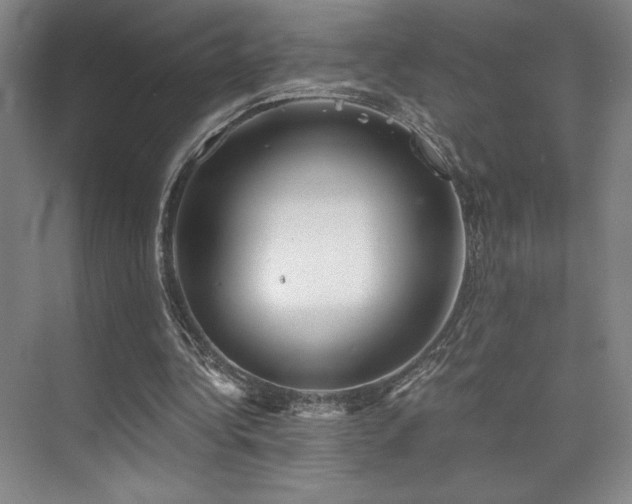 X0000073840340200608101235