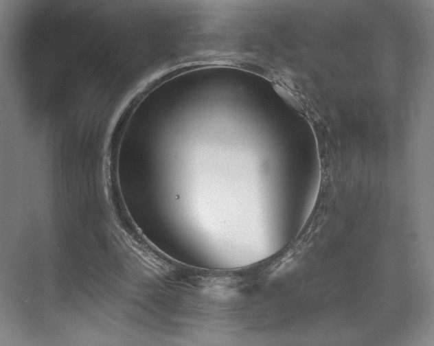 X0000073840342200608101235