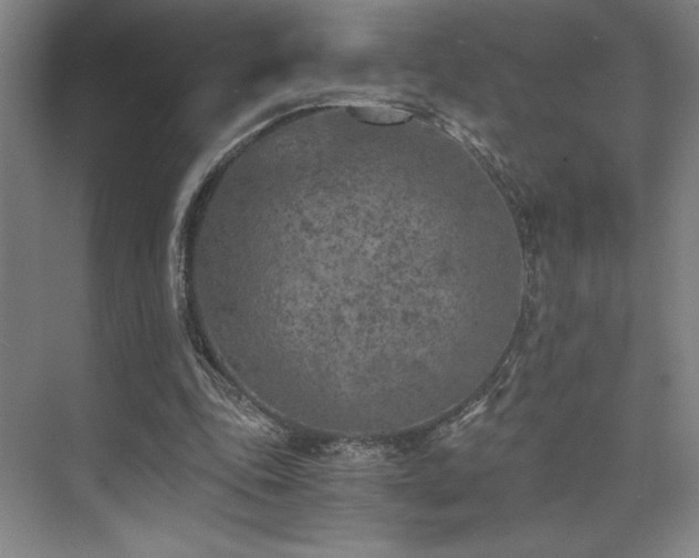 X0000073840343200608101235