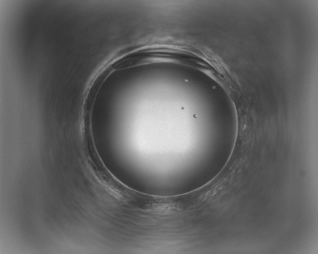 X0000073840344200608101235