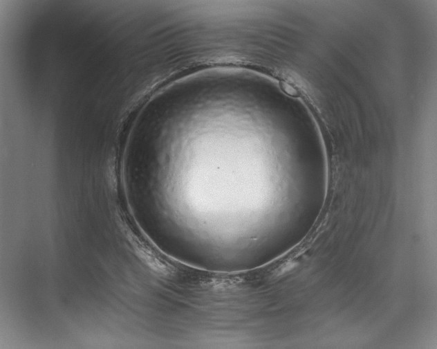 X0000073840345200608101235