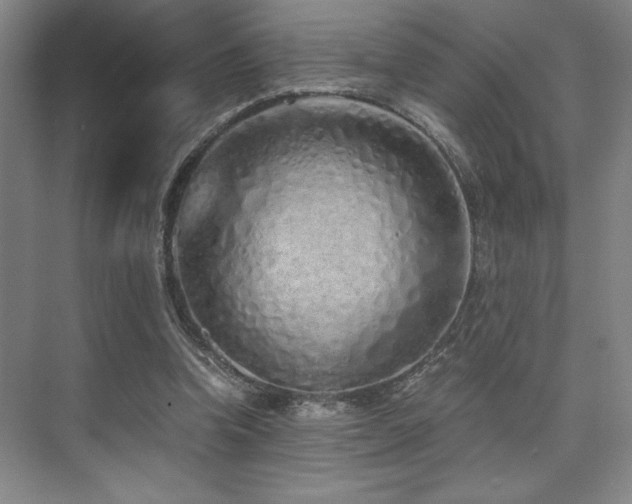 X0000073840346200608101235