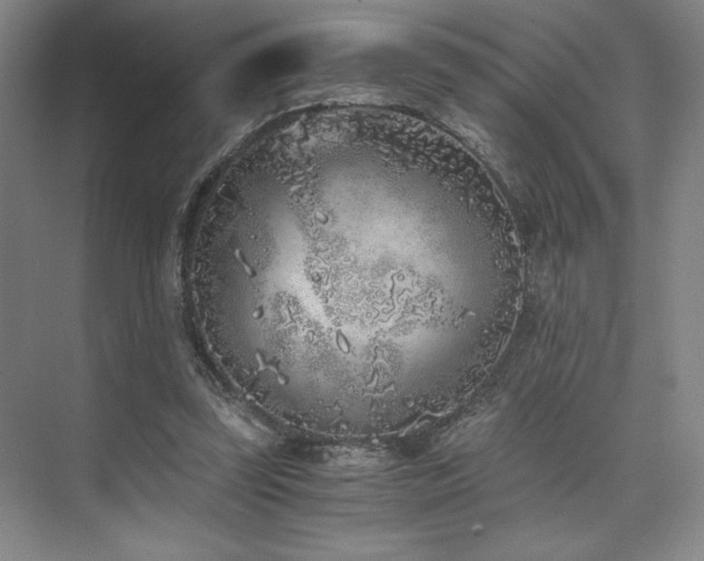 X0000073840347200608101235