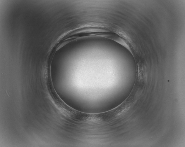 X0000073840348200608101235