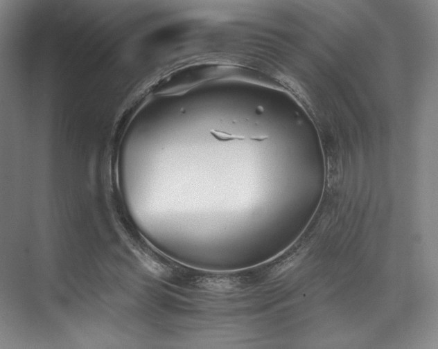 X0000073840349200608101235