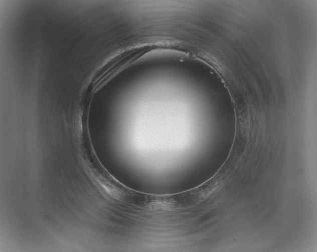 X0000073840350200608101235