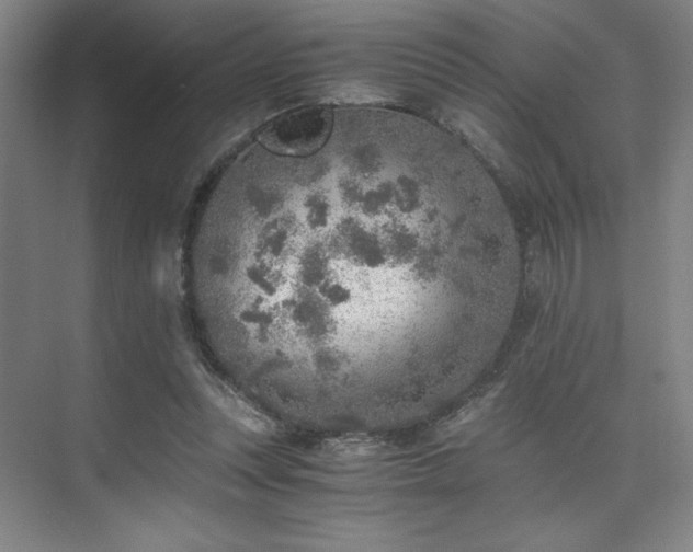 X0000073840351200608101235