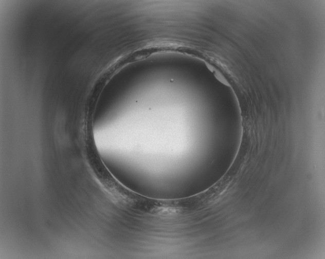 X0000073840352200608101235