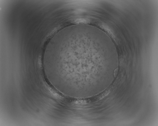 X0000073840353200608101235