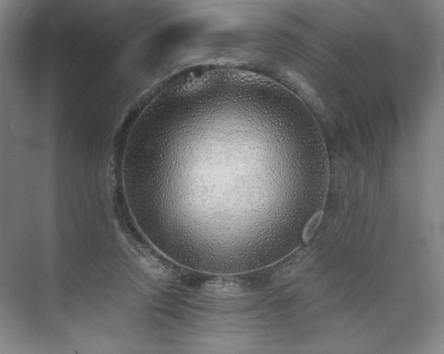 X0000073840354200608101235