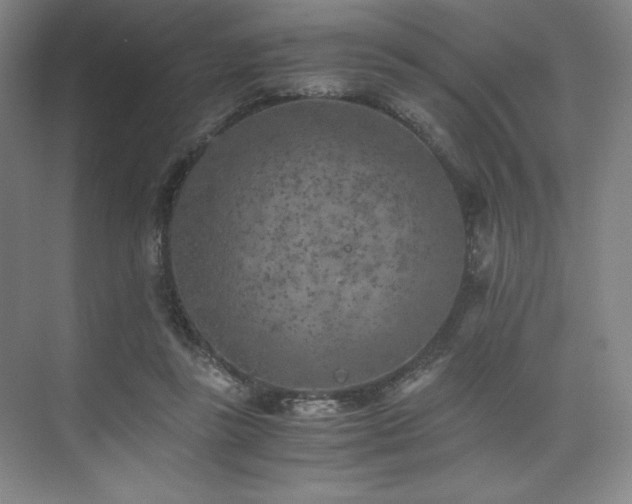 X0000073840355200608101235