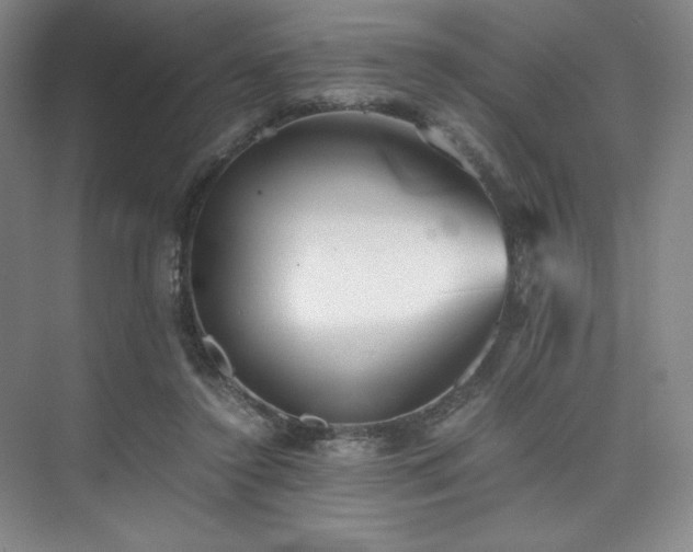 X0000073840356200608101235