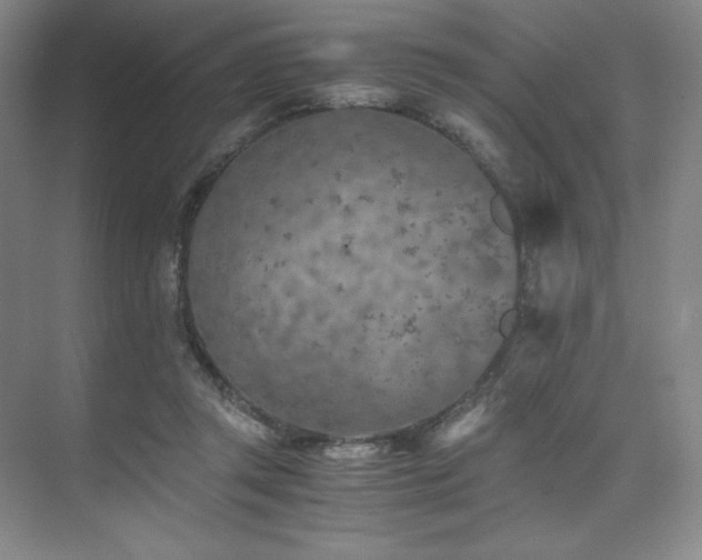 X0000073840357200608101235