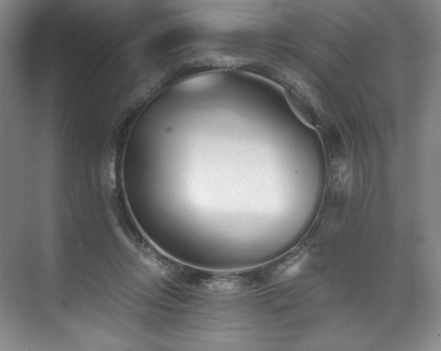 X0000073840358200608101235