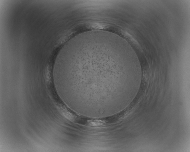 X0000073840359200608101235