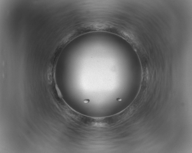 X0000073840360200608101235