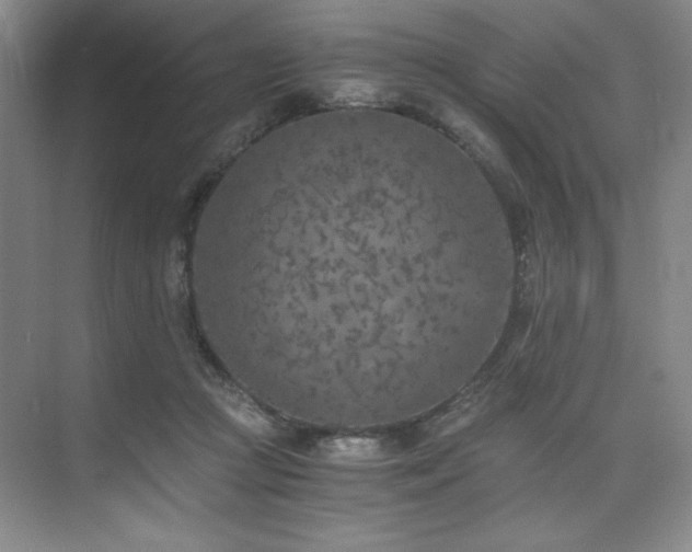 X0000073840361200608101235