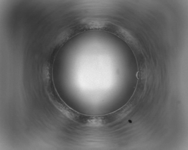 X0000073840362200608101235