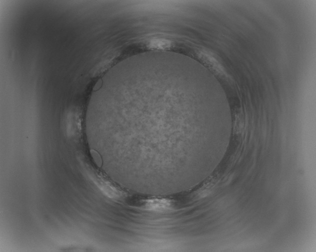 X0000073840363200608101235