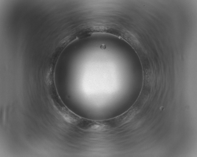 X0000073840364200608101235