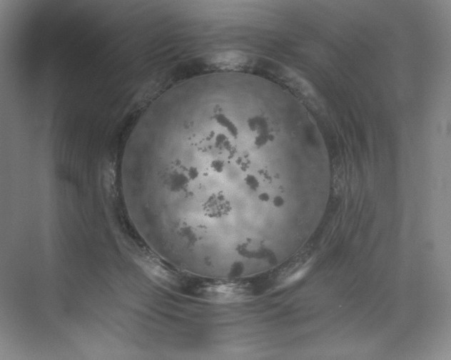 X0000073840365200608101235