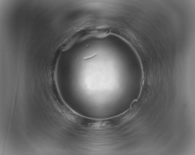 X0000073840366200608101235