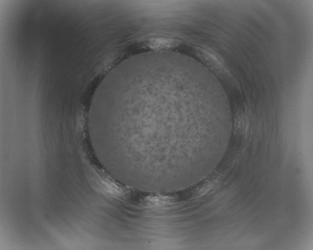 X0000073840367200608101235